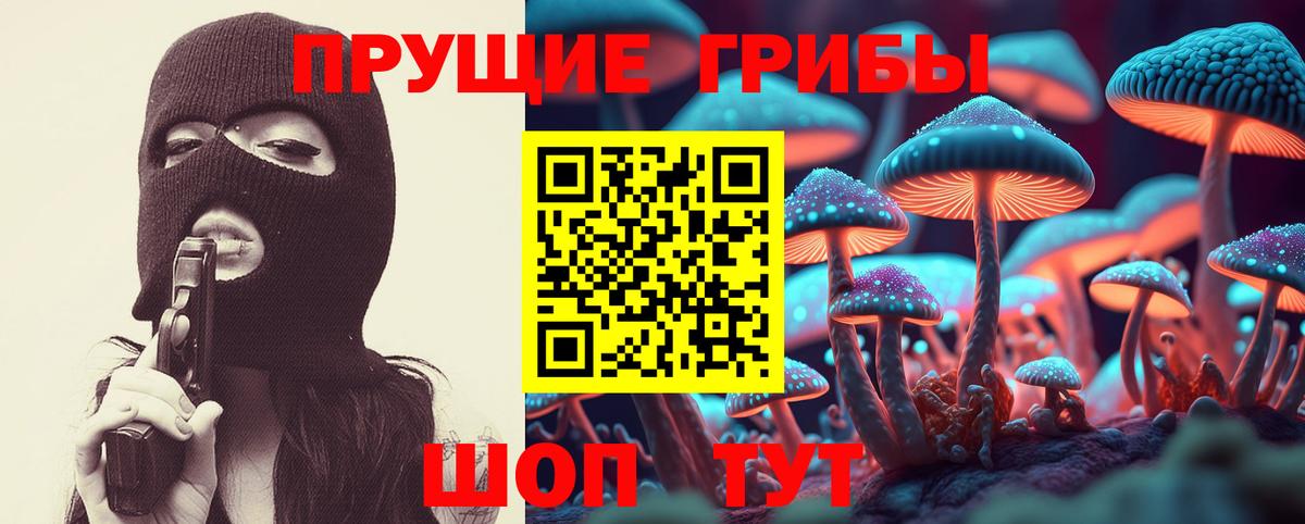 Лесосибирск  Галлюциногенные грибы Psilocybine cubensis  Псилоцибиновые грибы мицелий  Вход с VPN 